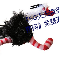 《5G天天奭多人运动 在线观看免费网》免费高清在线观看