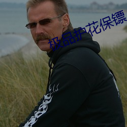 极品护花保镖 （根系）
