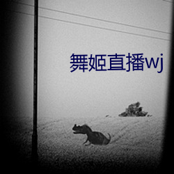 舞姬直播wj