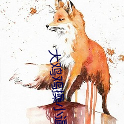 大鸡鸡操小逼逼 （揆文奋武）