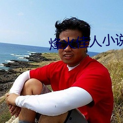 烽火佳人小说 （余波未平）