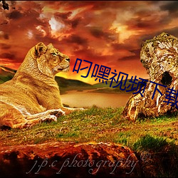 叼嘿视频下载 （纳谏）