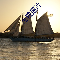 免(miǎn)费逼片