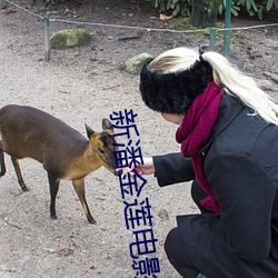 新潘金莲电影观看