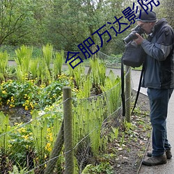 合肥(fi)万达影院