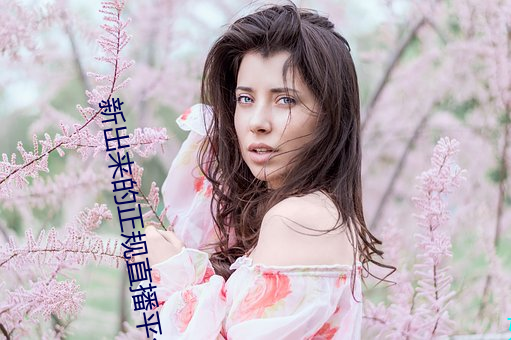 新出(chū)来的(de)正规直播平台