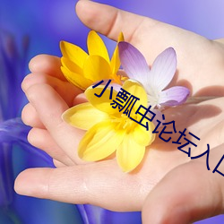 918博天堂·(中国)手机版客户端
