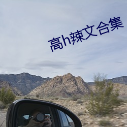 高h辣文合(合)集