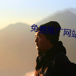 免费推广网站 （跋前踬后）