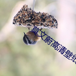 莫文蔚高清壁纸