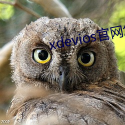 xdeviosô ֮ܿ