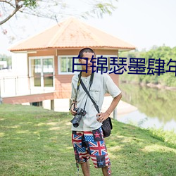 白錦瑟墨肆年免費閱讀