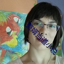 贅婿當道小說