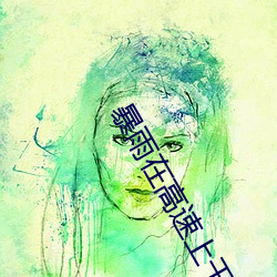 暴雨(雨)在高(高)速(速)上干(幹)警花