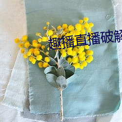 趣播直播破解版