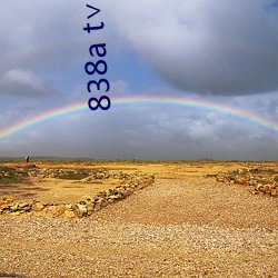 838a t��浪花直播安卓