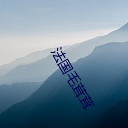 法国毛茸茸 （当局者迷）