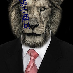 女强小说