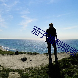 茄子福利视频