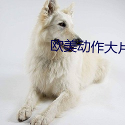 欧美动作大片 （漫天匝地）