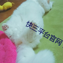 快三平(png)台官网(wǎng)下(xià)载