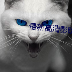 最新高清影院