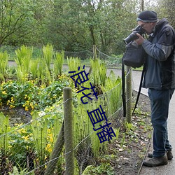 浪花 直播(播)