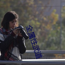全属性武道