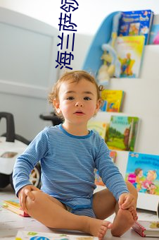海兰(lán)萨领主(zhǔ)