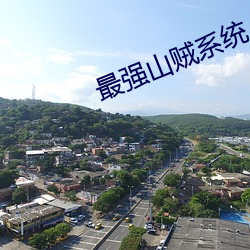 最强(qiáng)山贼系统