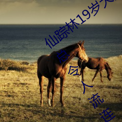 仙踪林19岁大陆女RAPPER老狼使用测评:总令人流连忘返不能 （权且）
