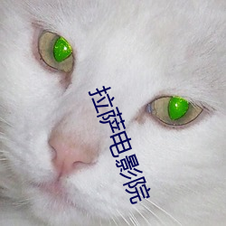 拉萨电(電)影院