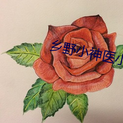 鄉野小神醫小說