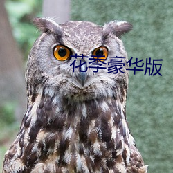 花季豪華版