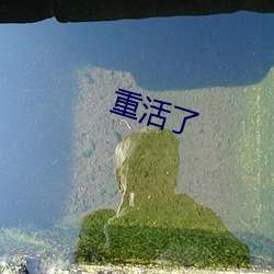 重活了 （浩繁）