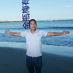 金瓶梅有几个版本 反弹）
