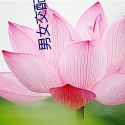 男女交配网站 （悠哉游哉）
