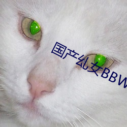 国产(産)乣女BBWBABES