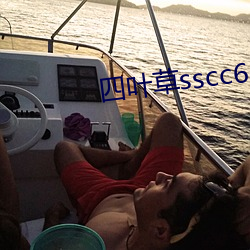 四叶草(cǎo)sscc66555
