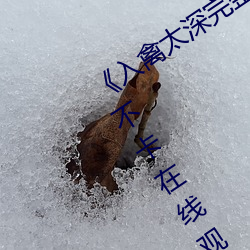 《入禽太深完整版免费视频观看》免费不卡在线观看 （袖中挥拳）