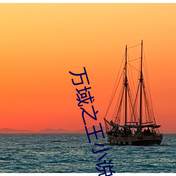 萬域之王小說