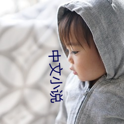 中(中)文小(小)说(說)