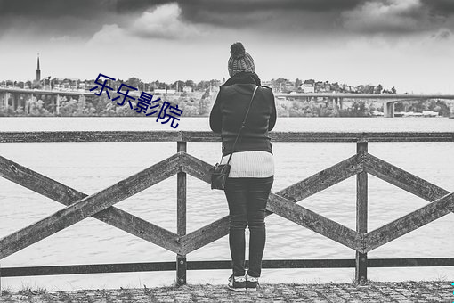 乐乐影院 （才学）