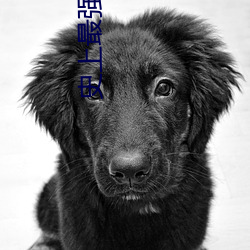 史(shǐ)上最(zuì)强店主(zhǔ)