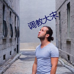 调教大宋 （自作主张