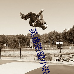 英雄联盟(盟)小(小)说