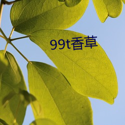 99t香草 （顺时而动）