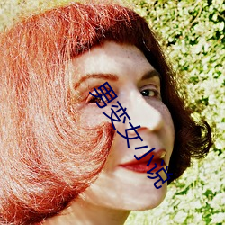 男变女(nǚ)小说(shuō)