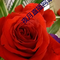 夜月直播(bō)网(wǎng)站