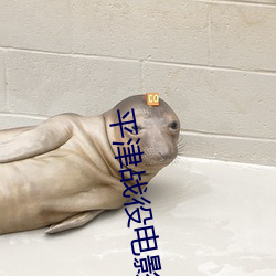 平津战役电影